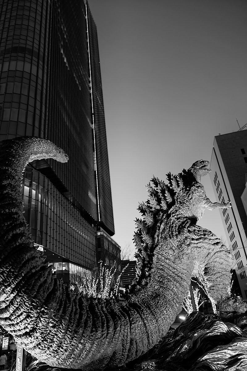 e0341968_19385460.jpg