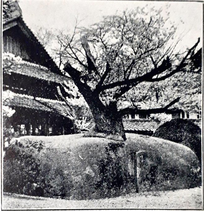 ネットを何とか面白く;歴史ネタ(三囲神社鳥居、安達ケ原黒塚、喜多院の禁忌、本所の夫婦石結論、日本堤と合力稲荷、日清戦争凱旋靖国神社仮設鳥居写真)2019/1/29-2/5twitterまとめ_b0116271_17301314.jpg