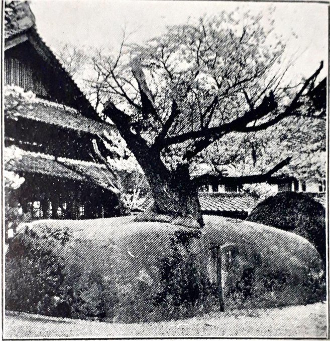 ネットを何とか面白く；歴史ネタ（三囲神社鳥居、安達ケ原黒塚、喜多院の禁忌、本所の夫婦石結論、日本堤と合力稲荷、日清戦争凱旋靖国神社仮設鳥居写真）2019/1/29-2/5twitterまとめ_b0116271_17301314.jpg