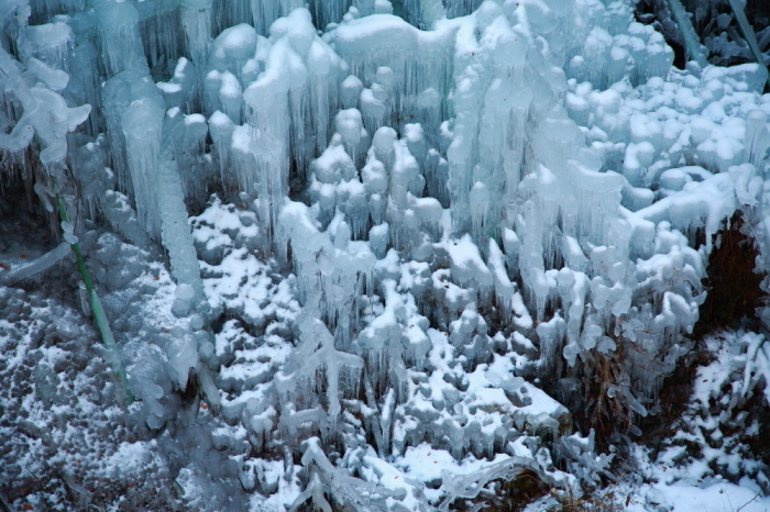 e0165983_11551060.jpg