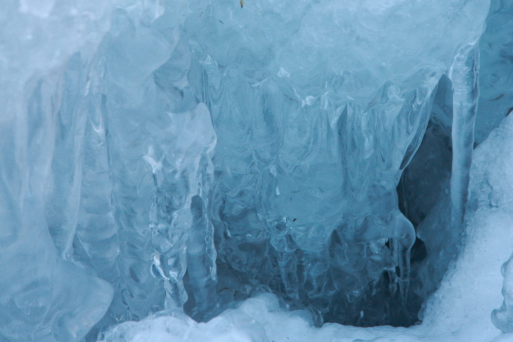 e0165983_11565407.jpg
