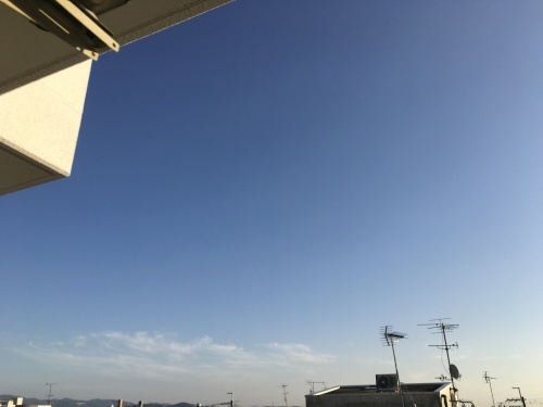f0347891_22192645.jpeg