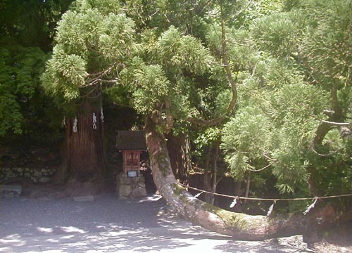 ●神社の造形―日吉大社、山王鳥居まで_d0053294_23581281.jpg