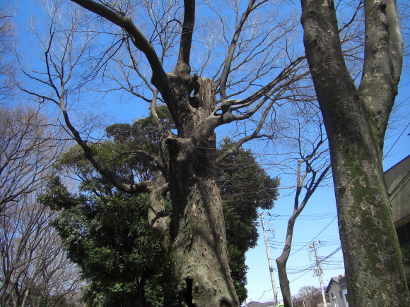 c0074721_16362013.jpg