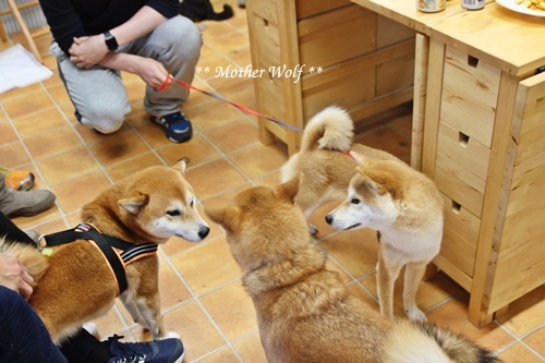 オープンハウス♪ ~ 2019年新年会~_e0191026_13564277.jpg