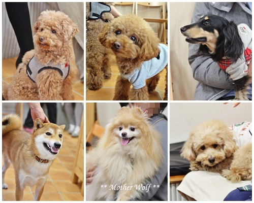 オープンハウス♪ ~ 2019年新年会~_e0191026_14425539.jpg