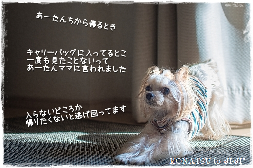 d0179828_12514700.png