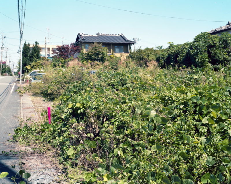 露口啓二氏 展覧会「自然史」_b0187229_12021419.jpg