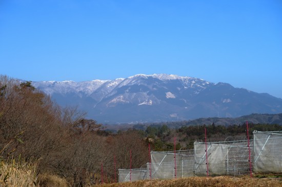 d0336530_20232887.jpg