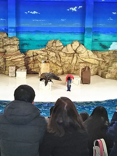 志摩と鳥羽水族館_b0400632_02105690.jpg