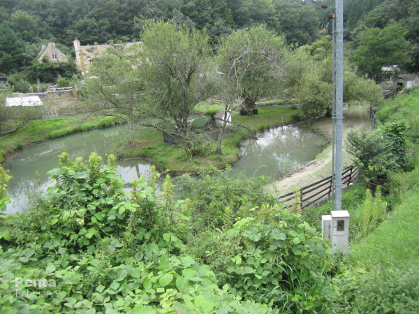 c0227134_00283137.jpg