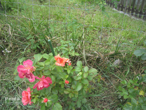 c0227134_00292272.jpg
