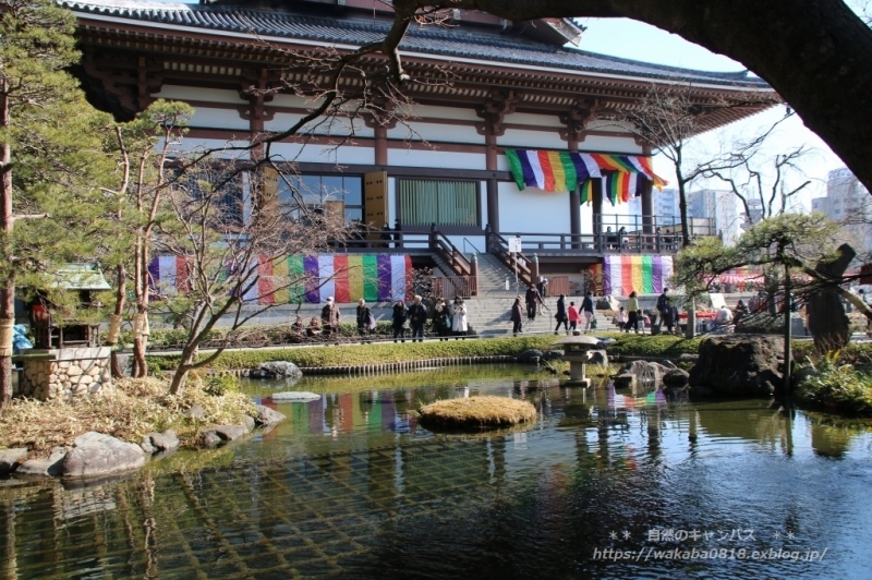 e0052135_21465200.jpg