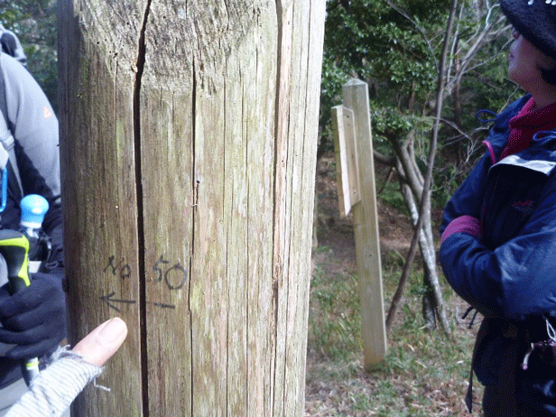 e0371039_5531980.gif