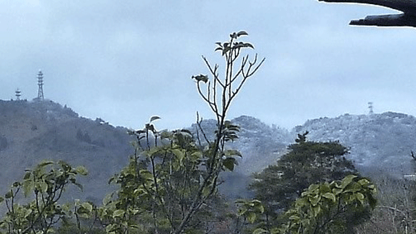 e0371039_5543020.gif
