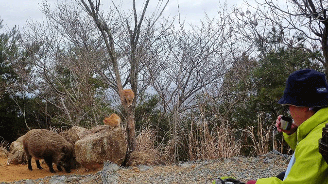 e0371039_554483.gif
