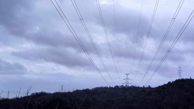 e0371039_555870.gif