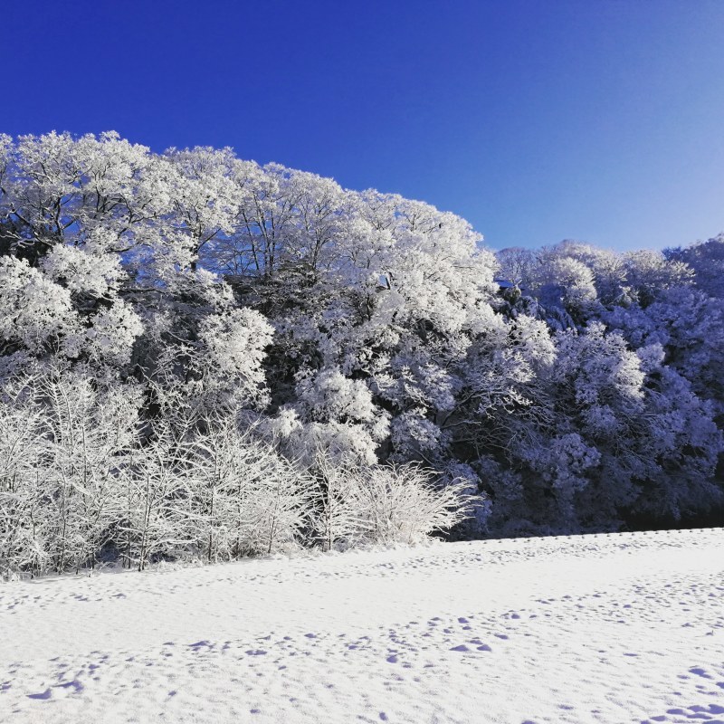 不安はどこから来るの?_a0023043_09495888.jpg