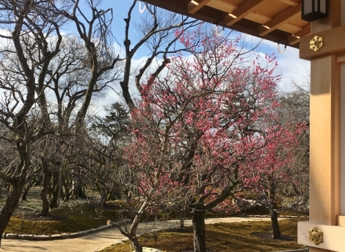京都の旅’19 その1_e0326953_22220945.jpg