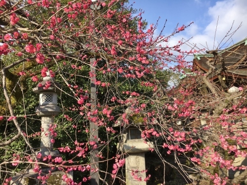 京都の旅’19 その1_e0326953_22223776.jpg