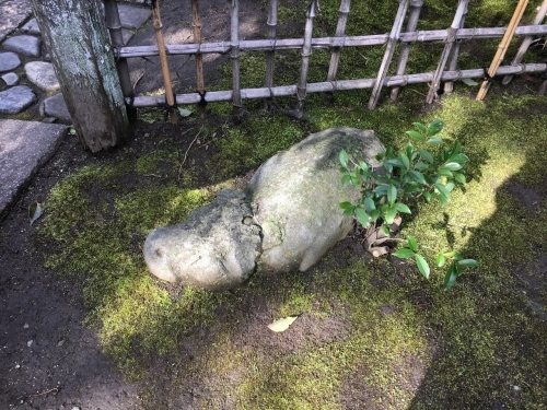 京都の旅’19 その1_e0326953_22564149.jpg