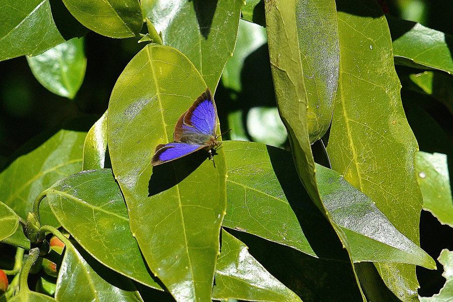 d0387460_09242343.jpg