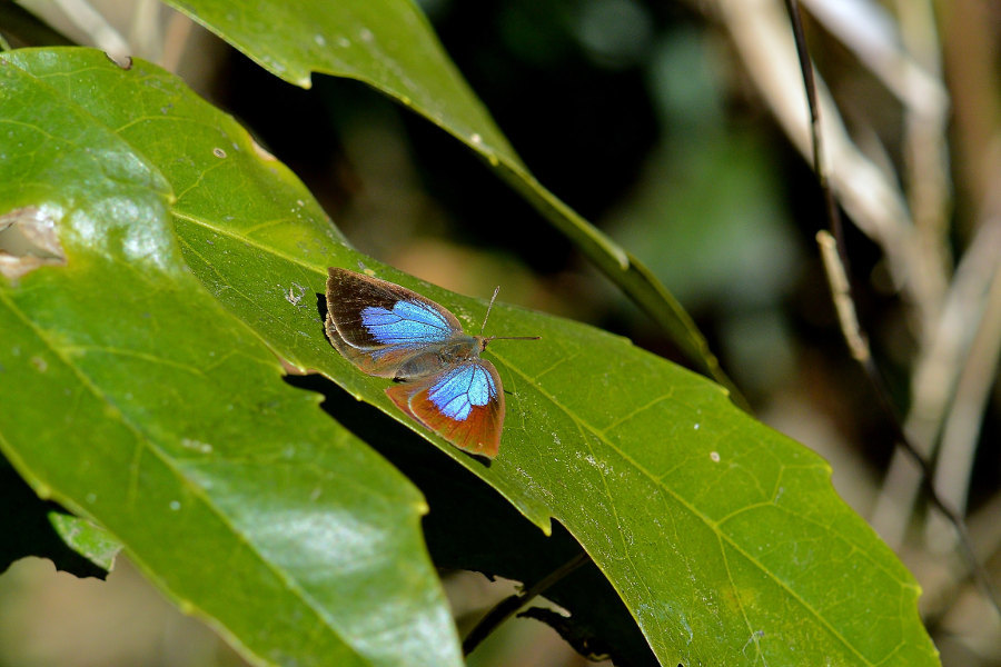d0387460_09250618.jpg