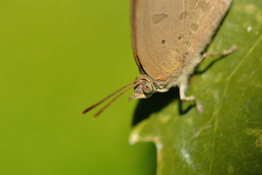 d0387460_09252429.jpg