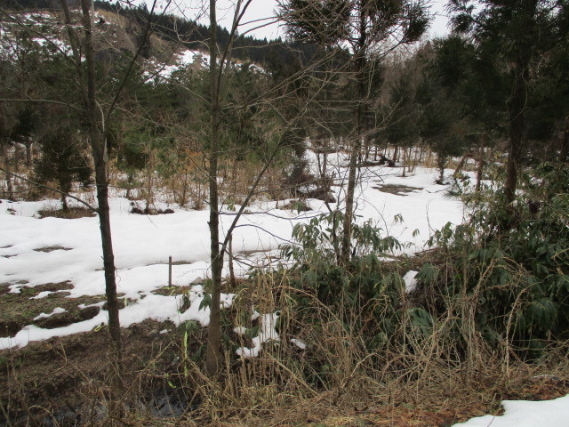 c0080863_12215309.jpg