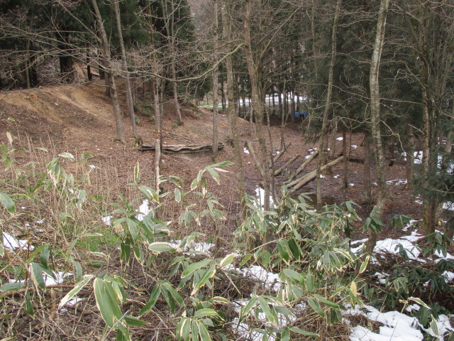 c0080863_12224720.jpg