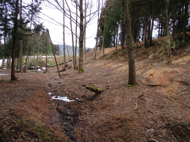 c0080863_12232009.jpg