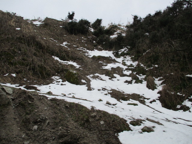 c0080863_12240726.jpg