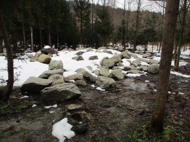 c0080863_12242572.jpg
