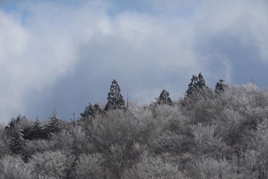 e0304170_18472313.jpg
