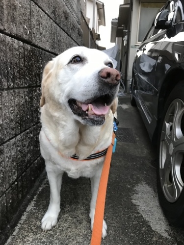 f0315081_22083854.jpeg