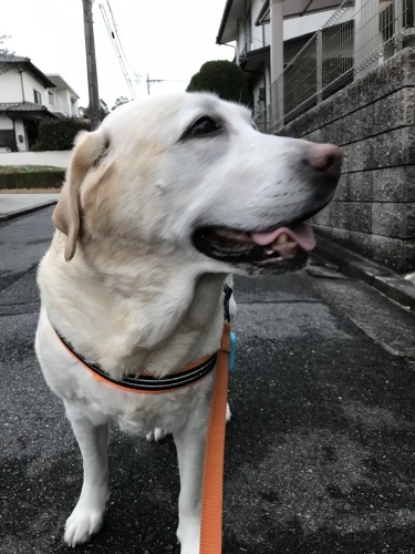 f0315081_22094678.jpeg