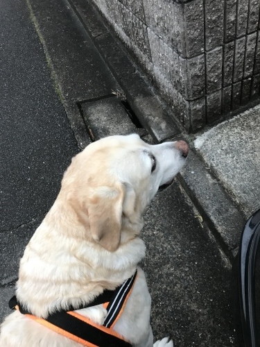 f0315081_22125905.jpeg