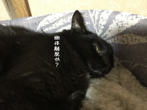 a0216583_23313962.png