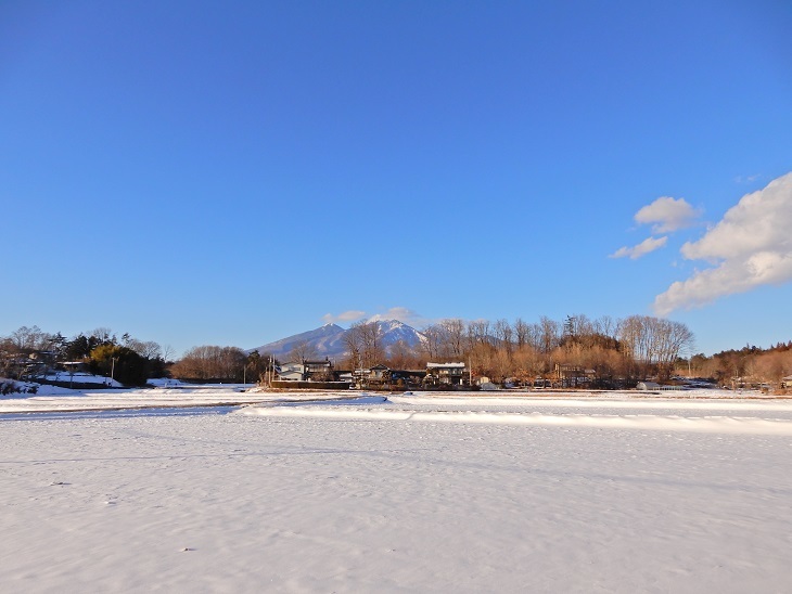 高根町Y田さん邸の薪小屋づくり2_a0211886_11253702.jpg