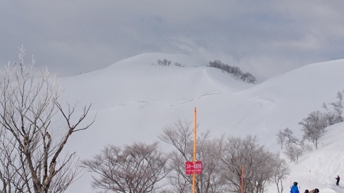 190202 ロッテアライリゾート(24回目)_e0015490_22241040.jpg