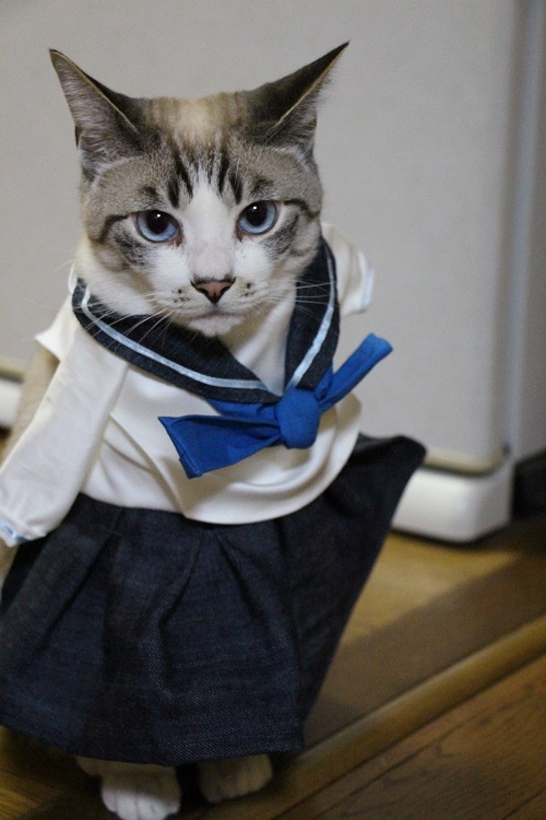 いい加減にしてください_a0333195_21432521.jpg