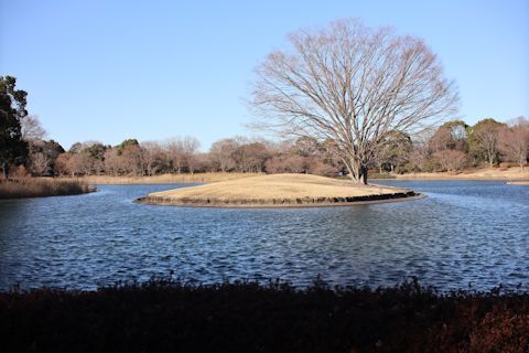 c0090198_14124224.jpg