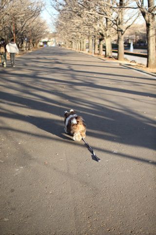 c0090198_14133775.jpg