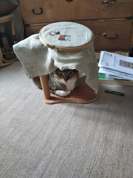 この本を読んだけ_f0316507_16444984.jpg