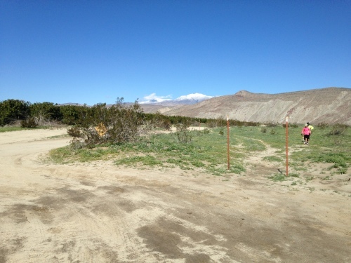 a0331910_14012577.jpeg