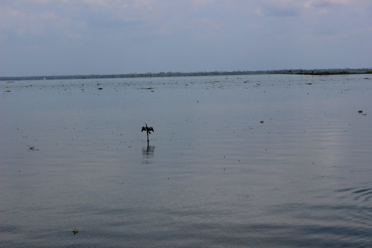b0064411_08324837.jpg