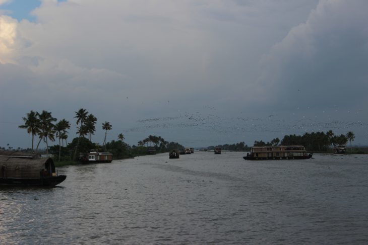 b0064411_08354890.jpg
