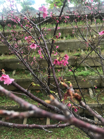 そこまできてる_d0319812_22462812.jpg