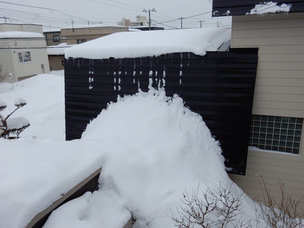 「記録的な寒波」が近づいているらしい_c0025115_22335699.jpg