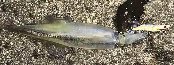 c0016718_14344901.jpg